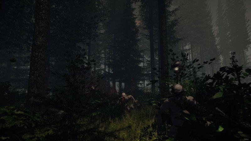 Мрачная версия The Forest уже на подходе.
