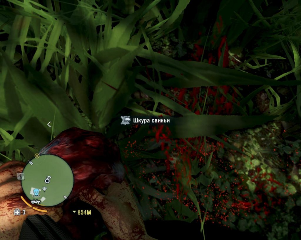 Far Cry 3- расстановка точек